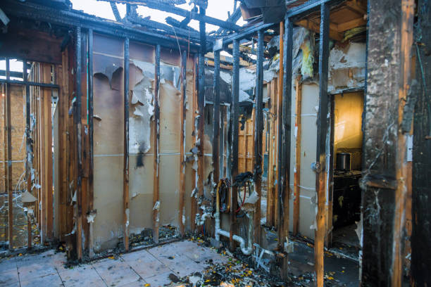 Professional Soot Cleanup technician working in Mountain Grove, MO